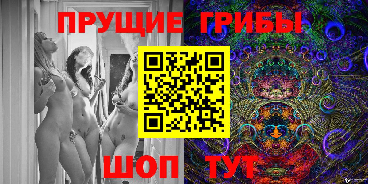 Гурьевск  Псилоцибиновые грибы Psilocybe  где продают   Вход с VPN 
