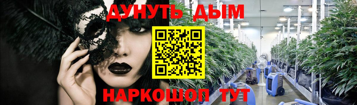 Каннабис планчик Гурьевск